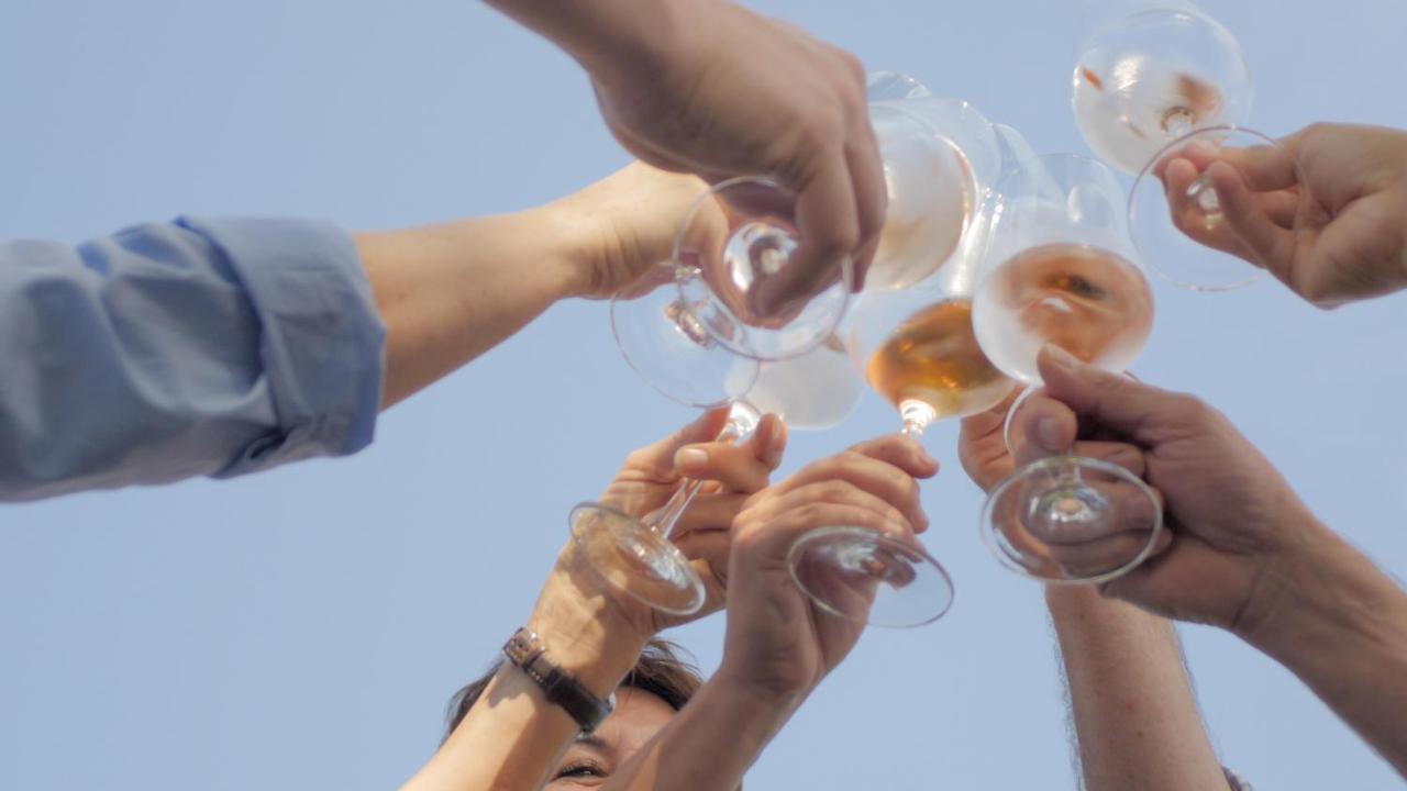 Hotel / Weingut Meintzinger فريكنهاوزن ام ماين المظهر الخارجي الصورة